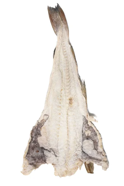 Bacalhau salgado sobre fundo branco — Fotografia de Stock