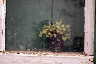 üretim tesisi ile eski pencere