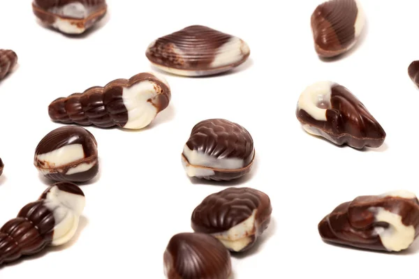 Chocolate sheashell themed — Stock Photo, Image