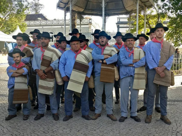 Ganhoes de Castro Verde, a traditional vocal male group — Stock Photo, Image