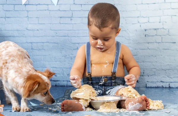 Party for one year baby boy with a set composed of brick wallpaper and pancakes. Pet puppy eats the pancakes as well.