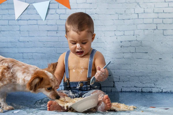 Party for one year baby boy with a set composed of brick wallpaper and pancakes. Pet puppy eats the pancakes as well.