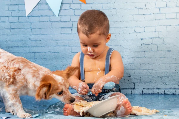 Party for one year baby boy with a set composed of brick wallpaper and pancakes. Pet puppy eats the pancakes as well.