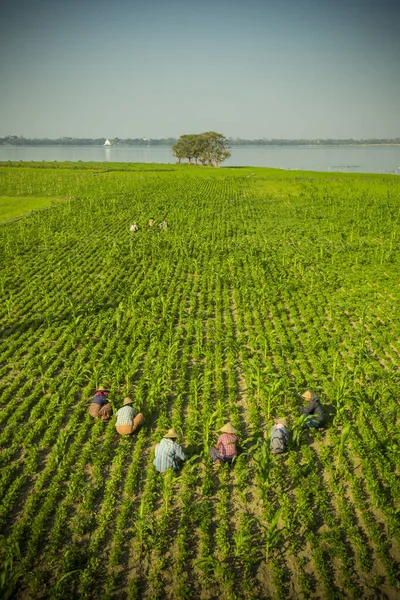 Myanmar 'da köprü altındasın.