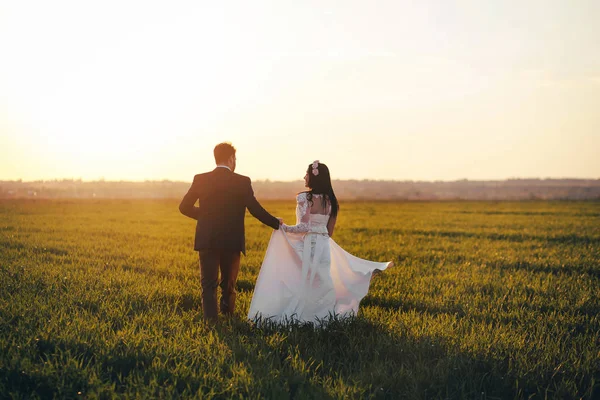 Recém Casados Estão Correr Pelo Campo Mãos Dadas Menina Bonita — Fotografia de Stock