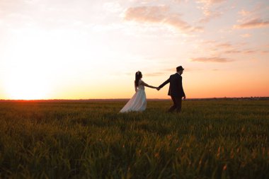 Moda koca ve güzel gelin damat şapkalı sahada, günbatımı, vardır.