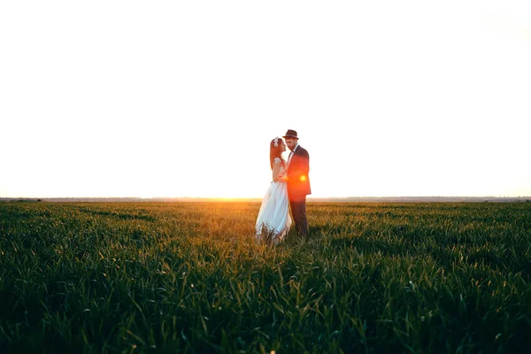 美丽的新娘和时尚的新郎亲吻在田野里 新郎在帽子 夕阳的光芒之间的夫妇 — 图库照片