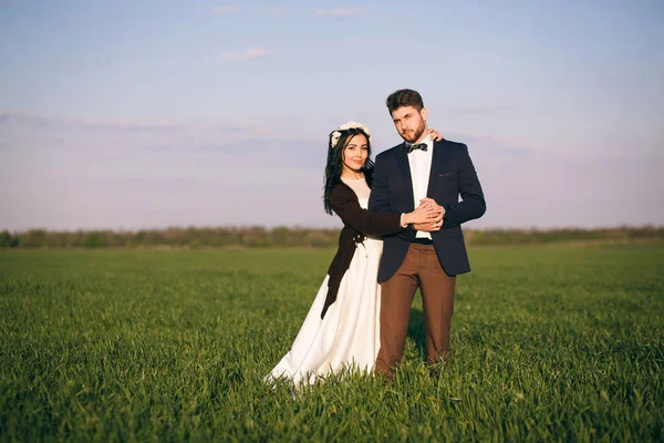 Meisje en jongen knuffelen in het veld, de koude avond, het meisje in een gebreide trui, de zachte en liefdevolle jongeren, de bruid en de bruidegom — Stockfoto