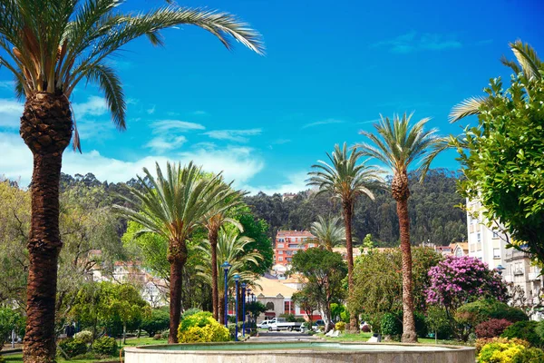 Beco com palmeiras, uma bela vista da colina, muitas flores, uma grande estrada com uma bela vista — Fotografia de Stock