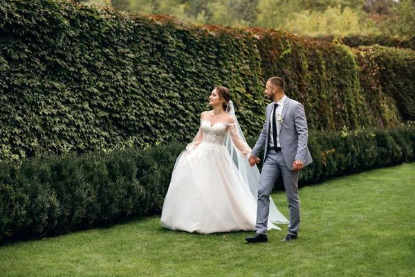 一对新婚夫妇手牵手在公园里散步 新娘和新郎面带微笑 彼此欣赏 绿叶的美丽背景 爱情的氛围 漂亮的婚纱 — 图库照片
