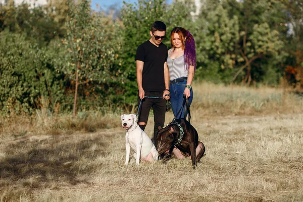 Pareja Joven Hombre Mujer Pasean Con Sus Perros Parque Pareja —  Fotos de Stock