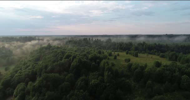 Vista Aérea Del Campo Bosque Niebla Atardecer Volando Sobre Bosque — Vídeos de Stock