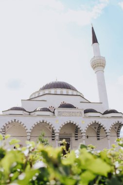 Arka planda Türk camisi var. Ön planda yeşil yapraklar