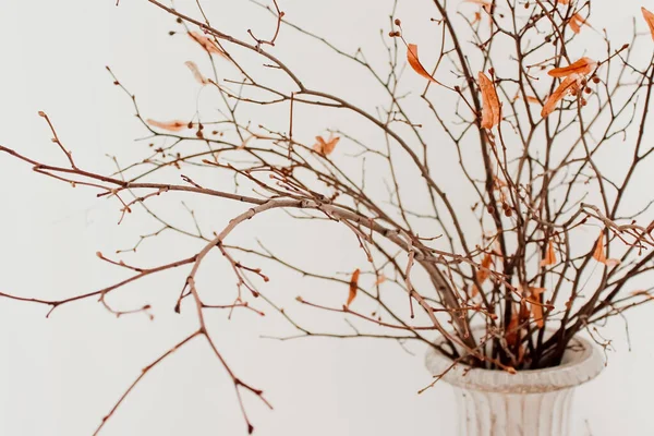 Branches with orange leaves in a white vase on a white background. Autumn theme