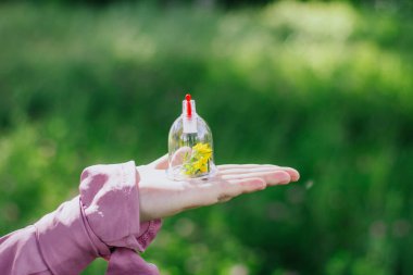 Kız elinde hijama için bir kavanoz ve bir çiçek tutuyor. Sarı çiçekler. Hijama, kan dökme, sunna tedavisi. Ağaçların ve yeşilliklerin arka planına karşı kan akıtmak için kavanozlar.