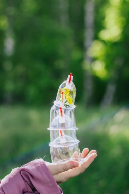 Kız elinde hijama için bir kavanoz ve bir çiçek tutuyor. Sarı çiçekler. Hijama, kan dökme, sunna tedavisi. Ağaçların ve yeşilliklerin arka planına karşı kan akıtmak için kavanozlar.