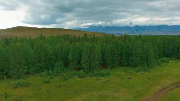 Entre Ciel Mélèze — Video