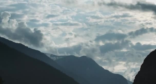 Valley Life Altai Mountains — Stock Video