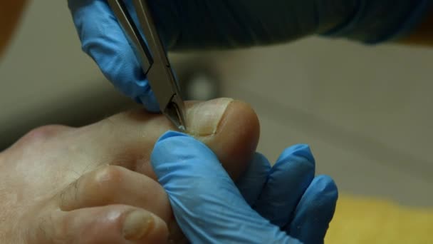 Médico Profesión Trabajo Del Maestro Pedicura Paramédica — Vídeos de Stock