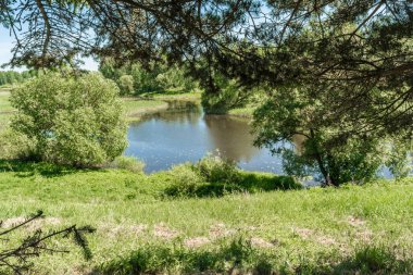 bir nehir ve bulutların arasından Çamın dalları, ağaçlar ve bitki örtüsü çok mavi bir gökyüzü görünüm, nehrin kıyısında yaz güneşli gün