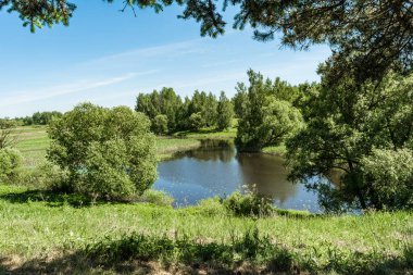 bir nehir ve bulutların arasından Çamın dalları, ağaçlar ve bitki örtüsü çok mavi bir gökyüzü görünüm, nehrin kıyısında yaz güneşli gün