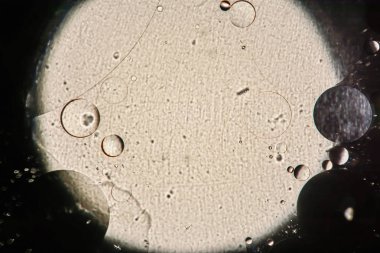 arasındaki etkileşimin su ve yağ, yağ kabarcıklar su yüzeyinde renkli irili ufaklı makro arka plan yumuşak defocusing ile soyut.
