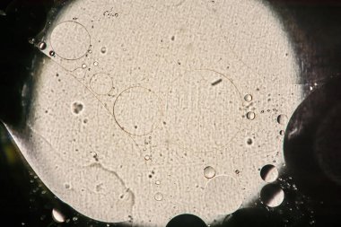 su ve yağ, petrol kabarcıklar yumuşak defocusing ile su soyut makro yüzey, gri ve siyah arka plan üzerinde irili ufaklı etkileşimi