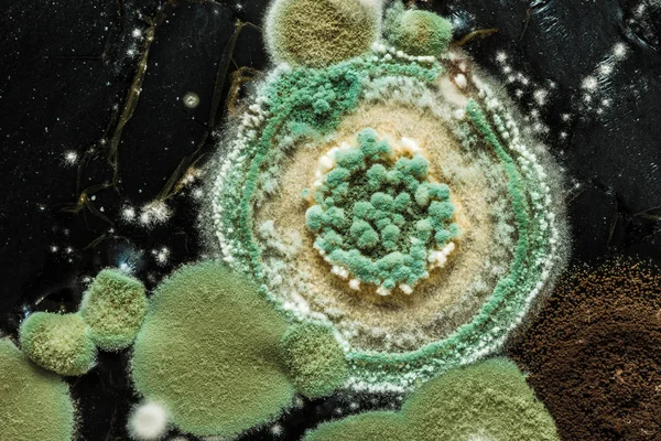 Yeşil Sarı Yuvarlak Bir Heterojen Siyah Yüzey Makro Bilim Arka — Stok fotoğraf