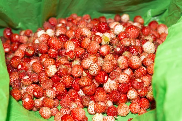a bunch of Woodland strawberry on a green background, selective focus, close-up abstract background