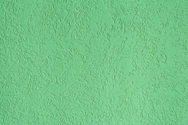 duvar yüzeyine yeşil dokusu ağaç türü, yakın çekim mimari arka plan dekoratif sıva ile kaplı