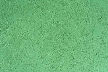 duvar yüzeyine yeşil dokusu ağaç türü, yakın çekim mimari arka plan dekoratif sıva ile kaplı