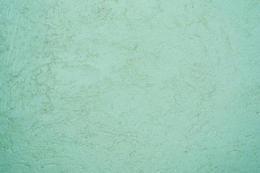 duvar yüzeyine yeşil dokusu ağaç türü, yakın çekim mimari arka plan dekoratif sıva ile kaplı