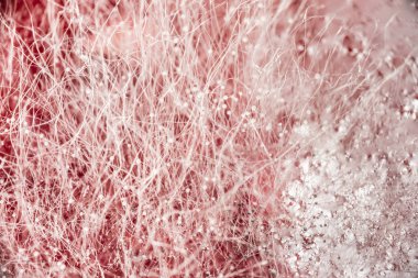 Gıda kalıp kırmızı içecek, gıda, Mikrobiyoloji makro arka plan, seçici odak mantar geliştirme