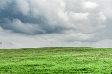 karanlık yağmur bulutları ve yeşil alan, yağışlı sezon yaz, dramatik doğa manzara