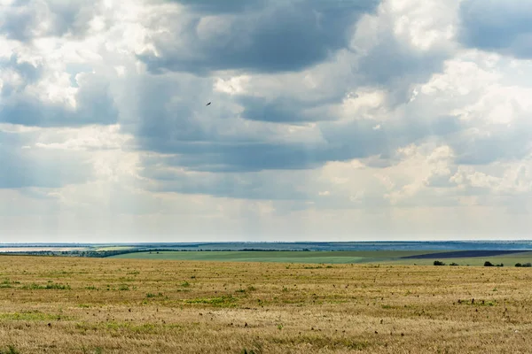 blue sky with clouds, field with withered grass and green vegetation, summer cloudy day, nature landscape