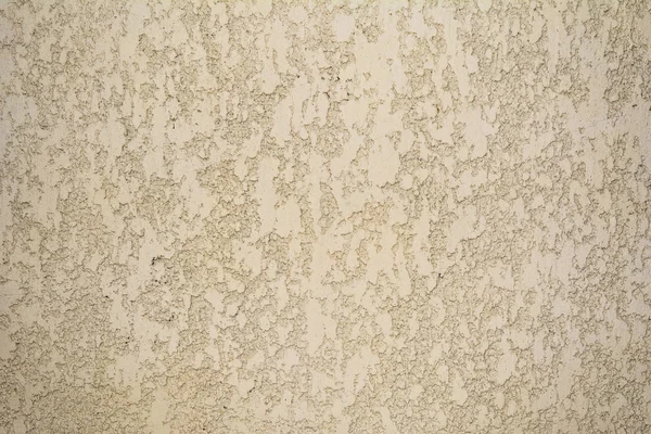 The texture of the coarse surface of the wall covered with decorative plaster of the woodworm type, close-up architecture abstract background — Stock Image Texture Coarse Surface Wall Covered Decorative Plaster Woodworm Type Close Royalty Free Stock Images