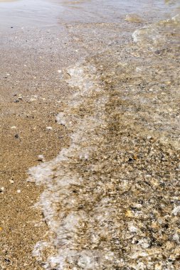 dalgalar, kumlu plajı ile deniz kabuklarını açık güneşli bir günde, yakın çekim doğa arka plan ile deniz kıyı