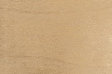 Huş kontrplak, yakın çekim arka plan ışık sarı doku