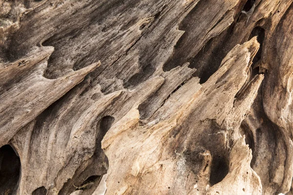 Рельєфна Текстура Старої Вивітреної Деревини Суха Сірка Хвойного Дерева Крупним — стокове фото