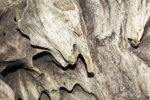 Kabartma Doku Eski Yıpranmış Ahşap Iğne Yapraklı Ağaç Kuru Budak — Stok fotoğraf