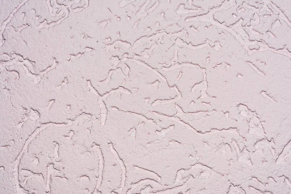 Textura Rosa Superfície Parede Coberta Com Gesso Decorativo Tipo Lagarta — Fotografia de Stock