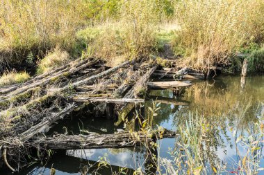 nehir ile bitki örtüsü, eski yıkılan köprü bataklık bir gölet ve batan güneşin, vahşi doğa arka plan değişen ışık sonbahar manzara günlükleri, büyümüş