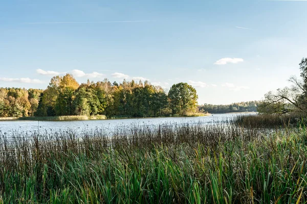 Lago Azul Con Orillas Cubiertas Hierba Árboles Paisaje Otoñal Con — Foto de Stock