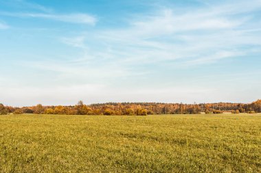 yeşil alan, mavi gökyüzü bulutlar ve sonbahar orman kenarı ile gündüz, sonbahar manzara arka plan