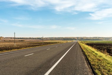 modern asfalt yol yol bir ormana bir alan geçen bir iki şeritli otoyol perspektif görünümü öğeleri, çizgi ile