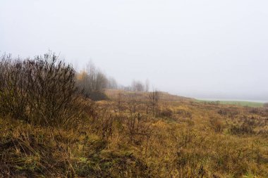 alan ve tepeler ile Kuru ot ve üreme, orman bitki örtüsü bulutlu nem sonbahar günü, sonbahar manzara olmadan karanlık ağaçlar sis ile kaplıdır
