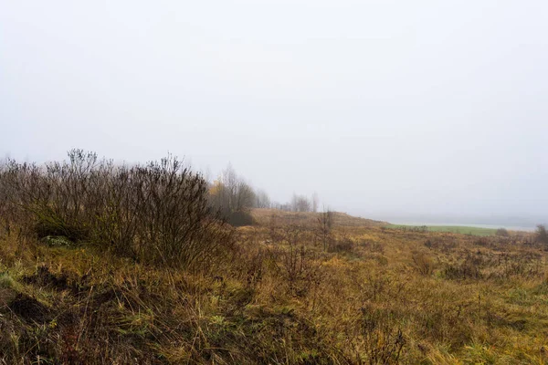 Champ Collines Avec Herbe Sèche Reproduction Forêt Est Couverte Brouillard — Photo