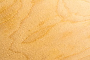 Gerçek doğal huş kontrplak. Ahşap doku yüksek detaylı. Yakın çekim arka plan