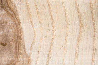 kabarık sarı gri ahşap doku dalgalı çizgiler ve ağaç lifleri, birim etkisi, yakın çekim arka plan ile