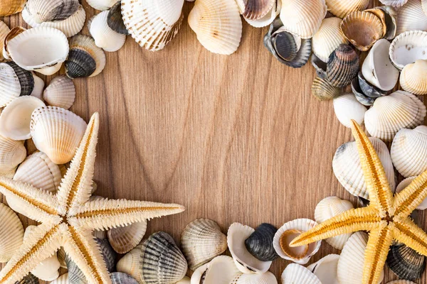Frame Made Seashells Red Yellow Sea Stars Brown Wooden Base — Stock Photo, Image